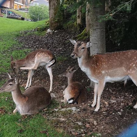 Ferienwohnung An Der Alten Saege Bezau Luaran gambar