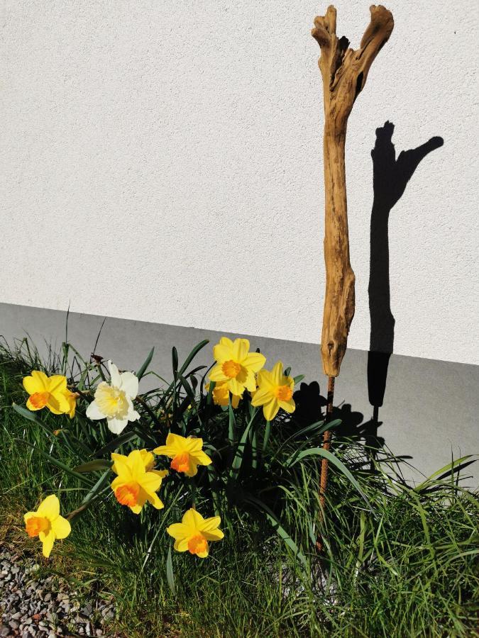 Ferienwohnung An Der Alten Saege Bezau Luaran gambar